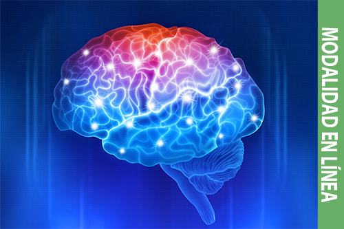 Neurodidáctica